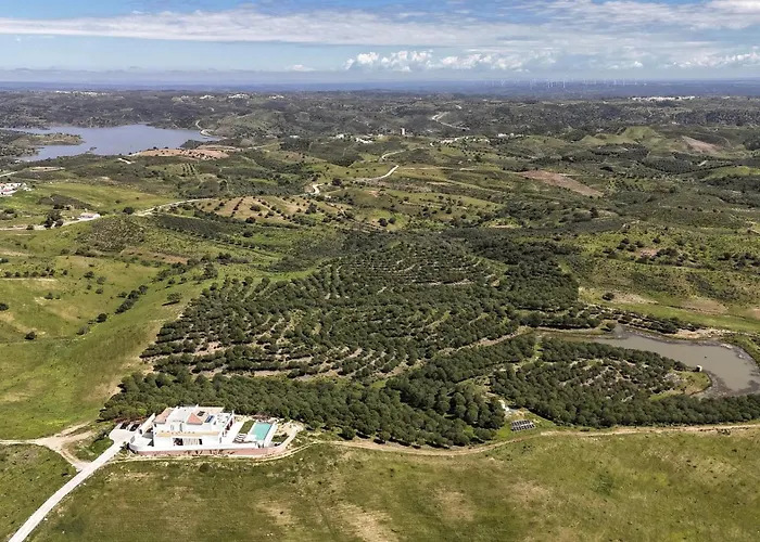 La Glycine * カストロ・マリン